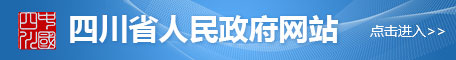 PP电子